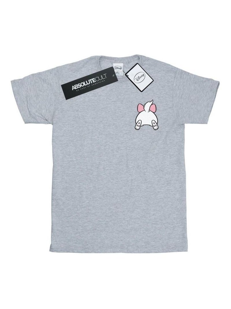 Disney - T-shirt ARISTOCATS Gris chiné - Kiabi