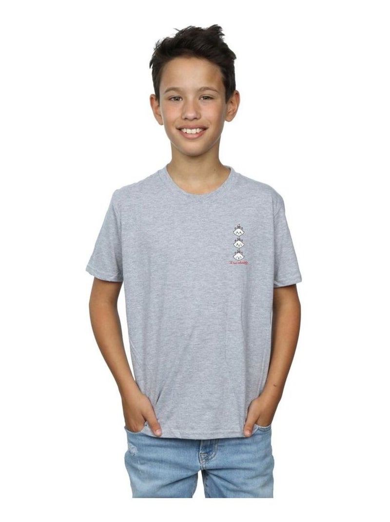Disney - T-shirt ARISTOCATS Gris chiné - Kiabi