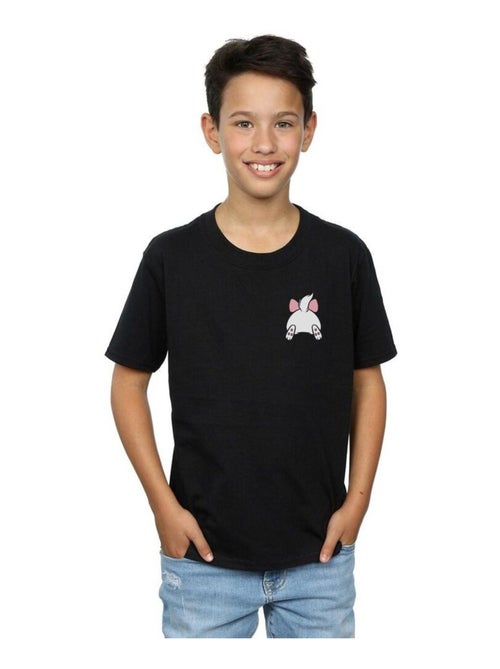 Disney - T-shirt ARISTOCATS - Kiabi