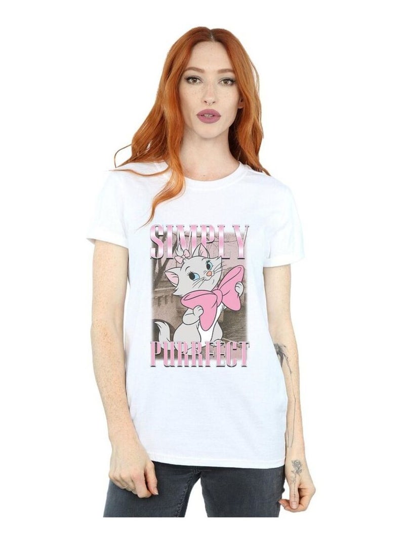 Disney - T-shirt ARISTOCATS SIMPLY PURRFECT Blanc - Kiabi