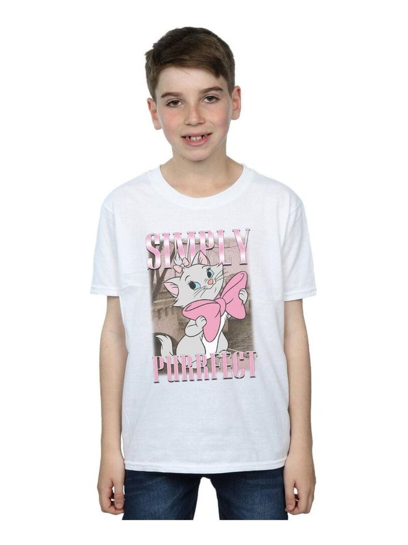 Disney - T-shirt ARISTOCATS SIMPLY PURRFECT Blanc - Kiabi