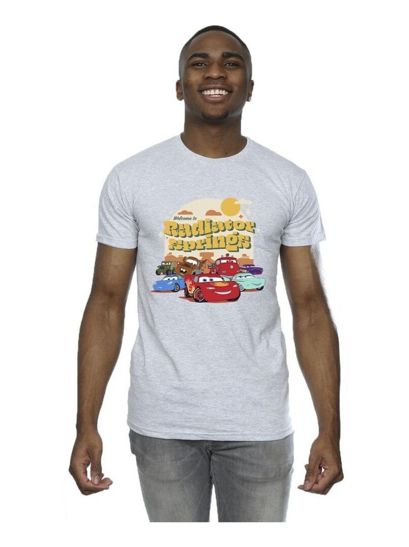 Disney - T-shirt CARS RADIATOR SPRINGS Gris chiné - Kiabi