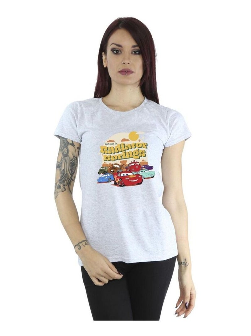 Disney - T-shirt CARS RADIATOR SPRINGS Gris chiné - Kiabi