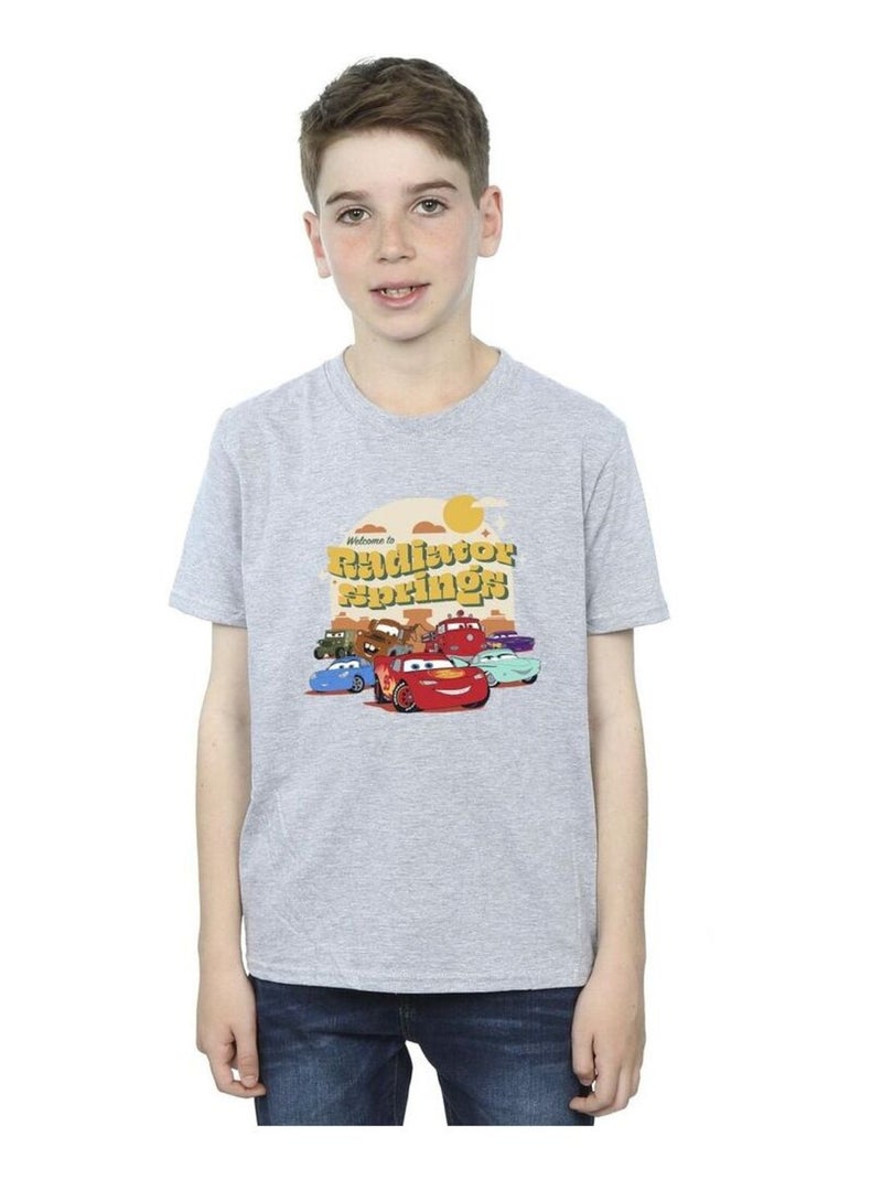 Disney - T-shirt CARS RADIATOR SPRINGS Gris chiné - Kiabi