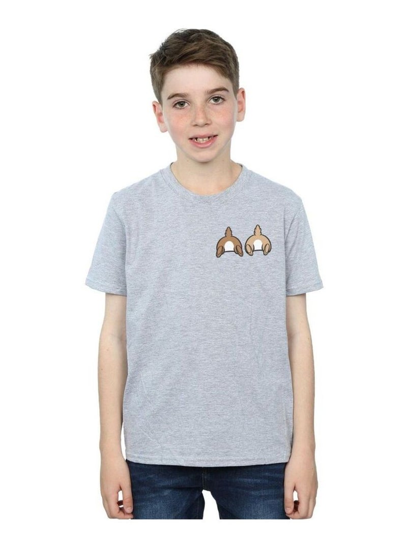 Disney - T-shirt CHIP N DALE Gris chiné - Kiabi