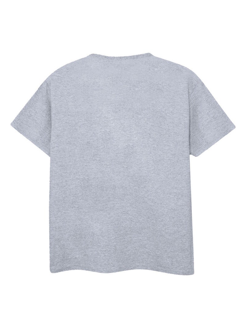 Disney - T-shirt CHIP N DALE THE SMART ONE Gris chiné - Kiabi