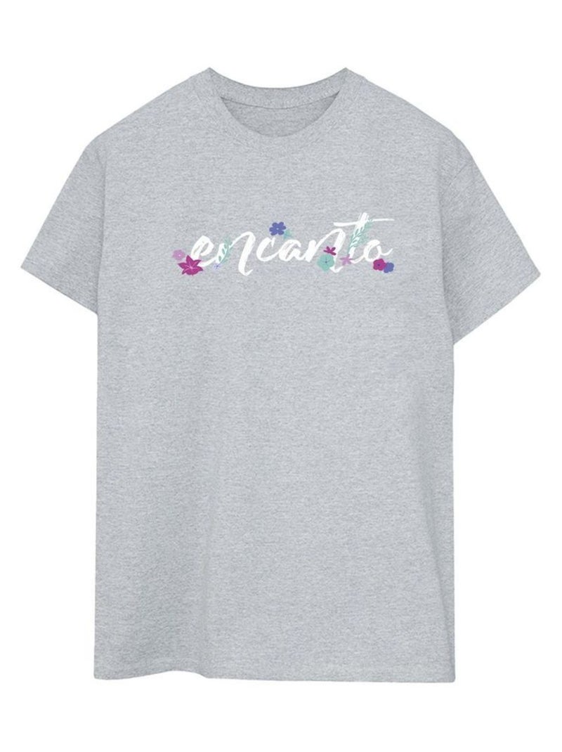 Disney - T-shirt ENCANTO Gris chiné - Kiabi