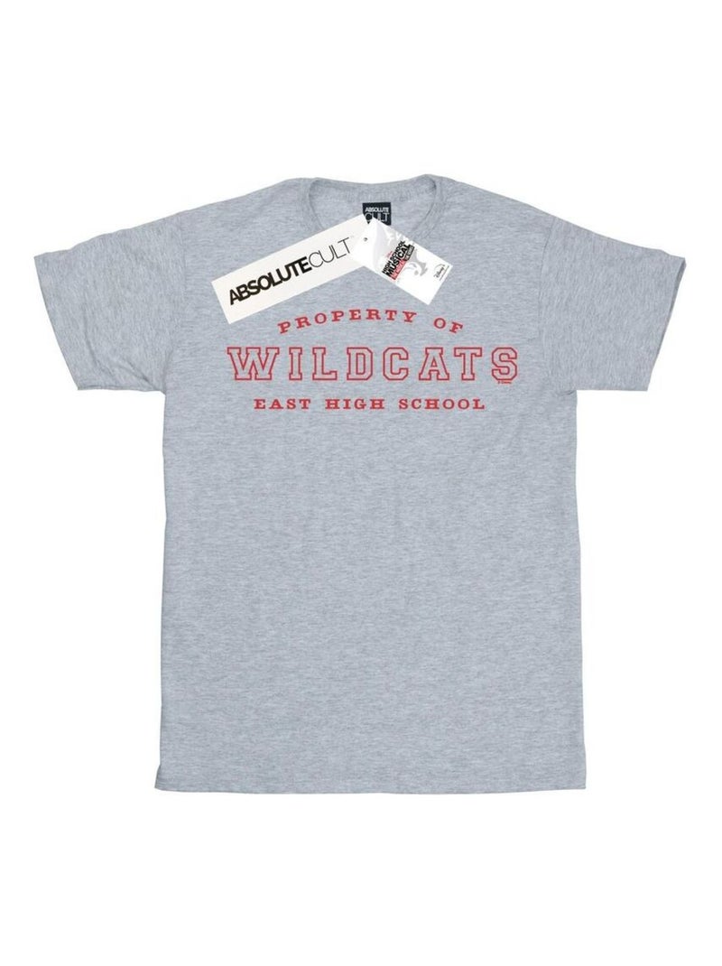 Disney - T-shirt HIGH SCHOOL MUSICAL THE MUSICAL PROPERTY OF WILDCATS Gris chiné - Kiabi