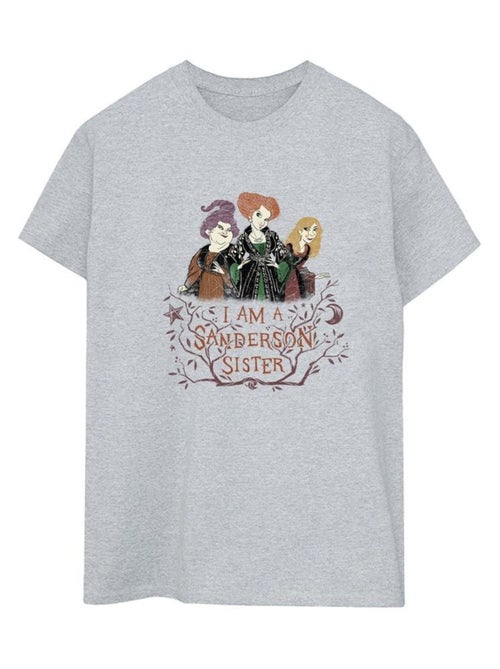 Disney - T-shirt Hocus Pocus: les trois sorcières SANDERSON SISTER - Kiabi