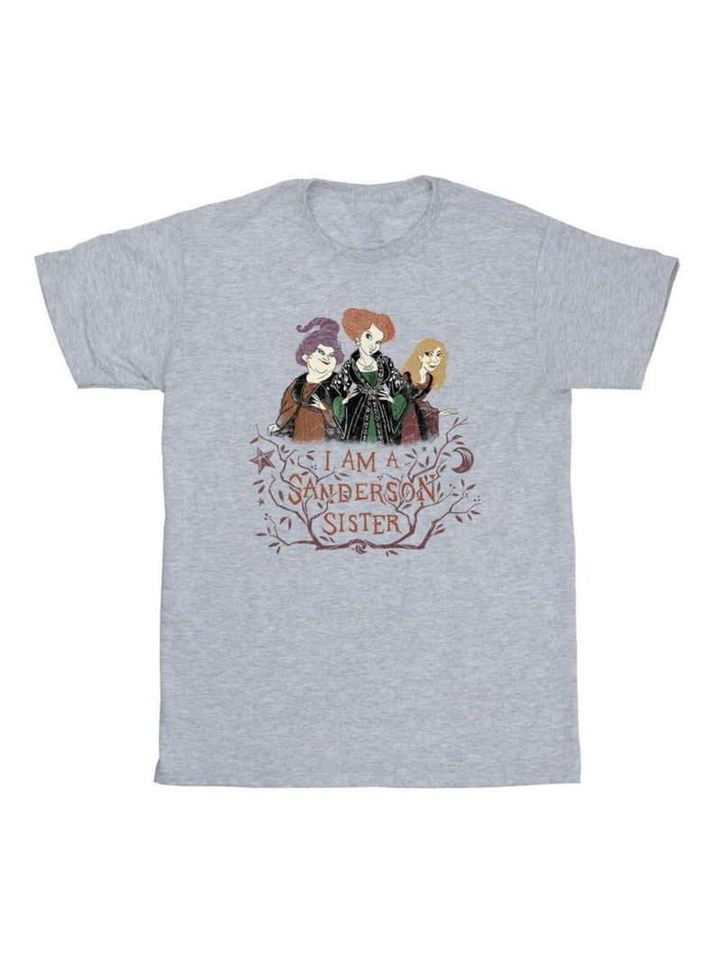 Disney - T-shirt HOCUS POCUS SANDERSON SISTER Gris chiné - Kiabi
