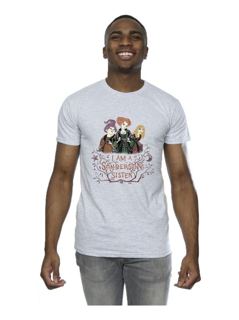Disney - T-shirt HOCUS POCUS SANDERSON SISTER Gris chiné - Kiabi