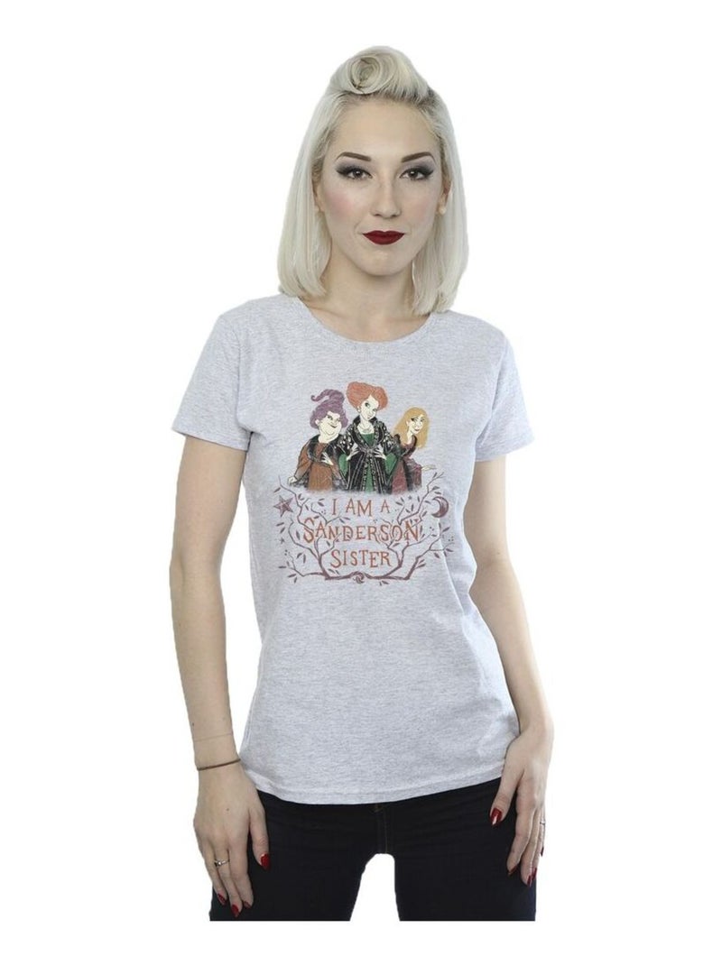 Disney - T-shirt HOCUS POCUS SANDERSON SISTER Gris chiné - Kiabi
