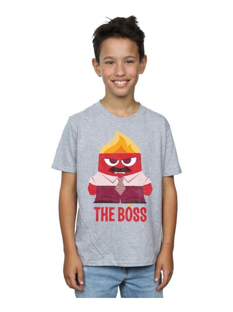 Disney - T-shirt INSIDE OUT ANGER THE BOSS Gris chiné - Kiabi