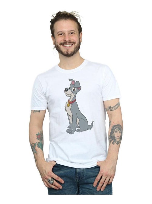 Disney - T-shirt LADY AND THE TRAMP - Kiabi