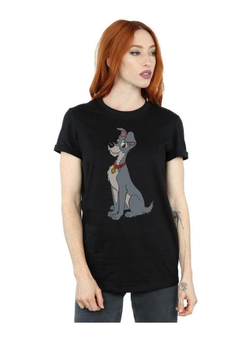 Disney - T-shirt LADY AND THE TRAMP - Kiabi Disney - T-shirt LADY AND THE TRAMP - Kiabi