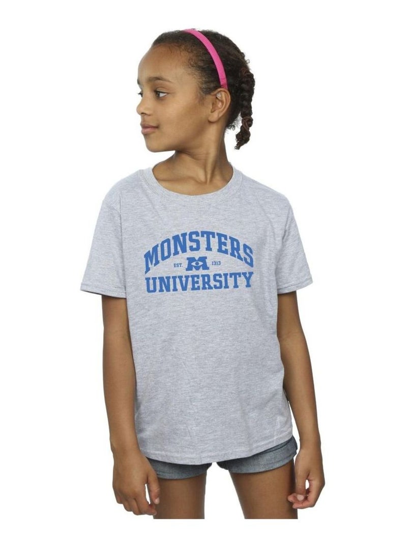 Disney - T-shirt MONSTERS UNIVERSITY Gris chiné - Kiabi