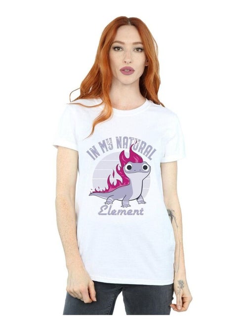 Disney - T-shirt motif Bruni motif/style Éléments La Reine des Neiges - Kiabi