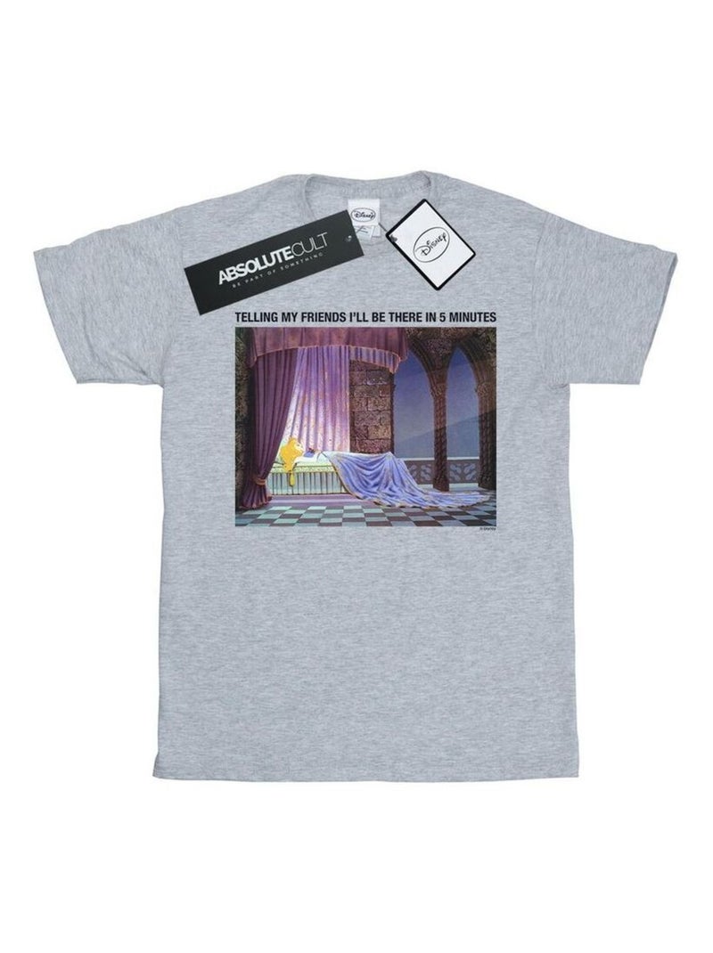 Disney - T-shirt SLEEPING BEAUTY I'LL BE THERE IN Gris chiné - Kiabi