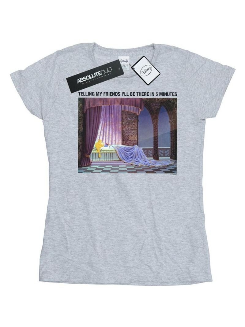 Disney - T-shirt SLEEPING BEAUTY I'LL BE THERE IN Gris chiné - Kiabi