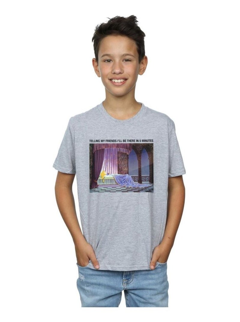 Disney - T-shirt SLEEPING BEAUTY I'LL BE THERE IN Gris chiné - Kiabi