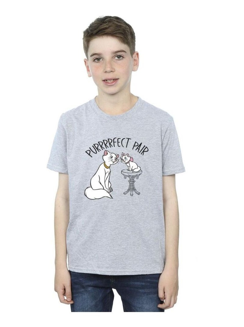 Disney - T-shirt THE ARISTOCATS PURRFECT PAIR Gris chiné - Kiabi
