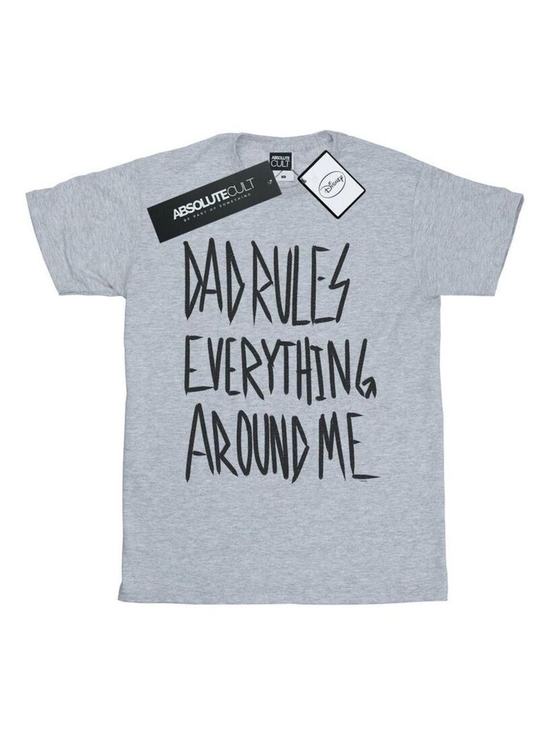 Disney - T-shirt THE LION KING DAD RULES EVERYTHING Gris chiné - Kiabi