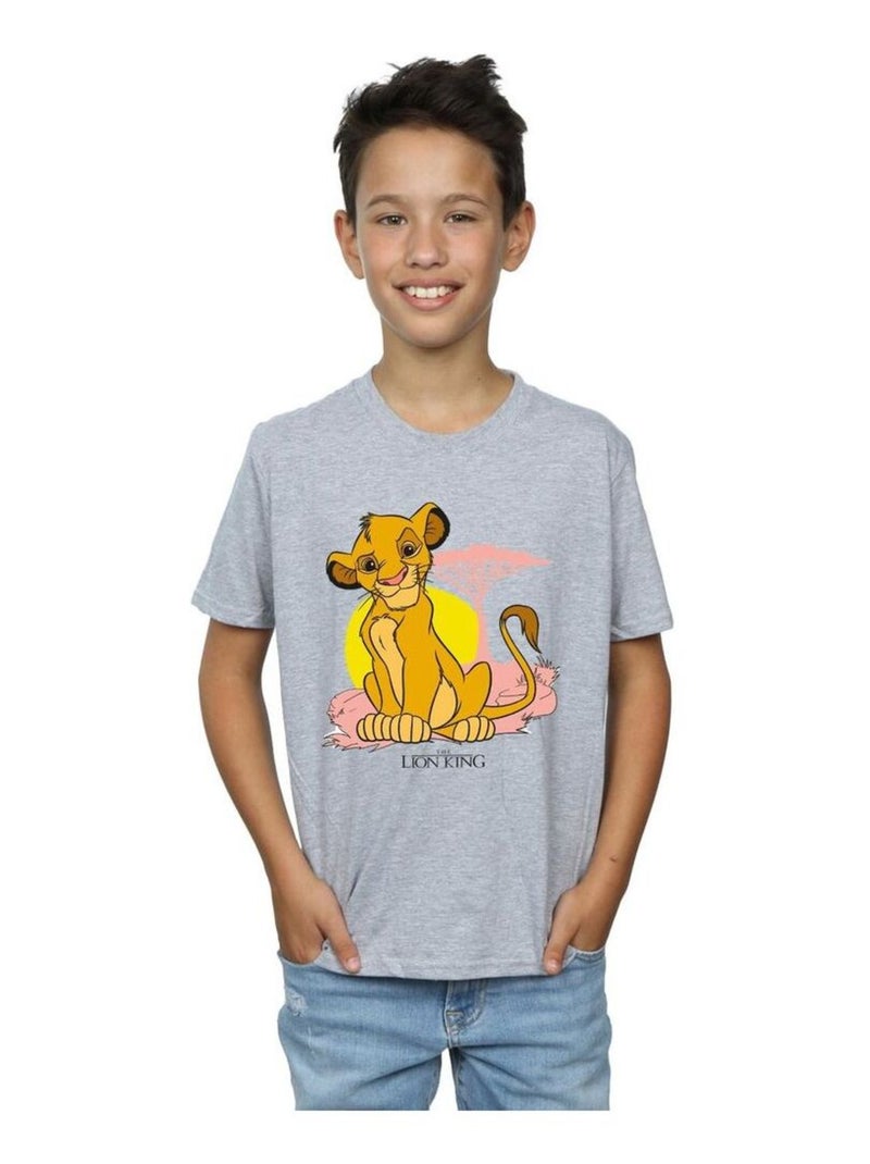 Disney - T-shirt THE LION KING Gris chiné - Kiabi