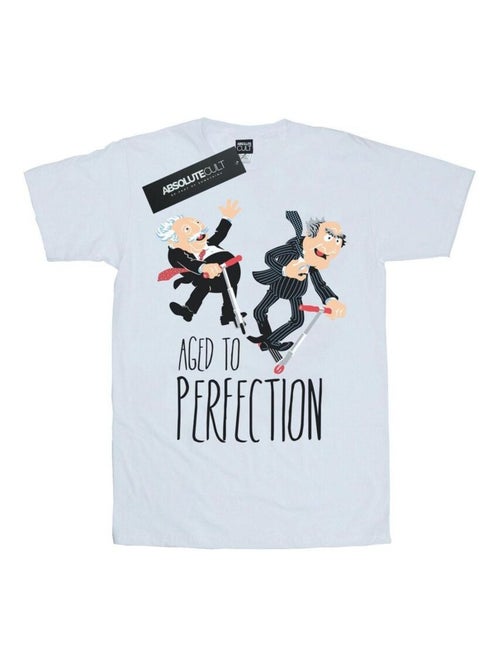 Disney - T-shirt THE MUPPETS AGED TO PERFECTION - Kiabi Disney - T-shirt THE MUPPETS AGED TO PERFECTION - Kiabi