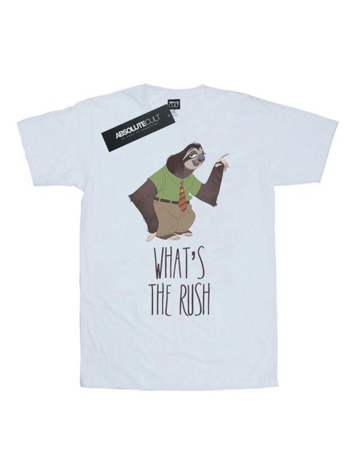 Disney - T-shirt ZOOTROPOLIS WHAT'S THE RUSH - Kiabi