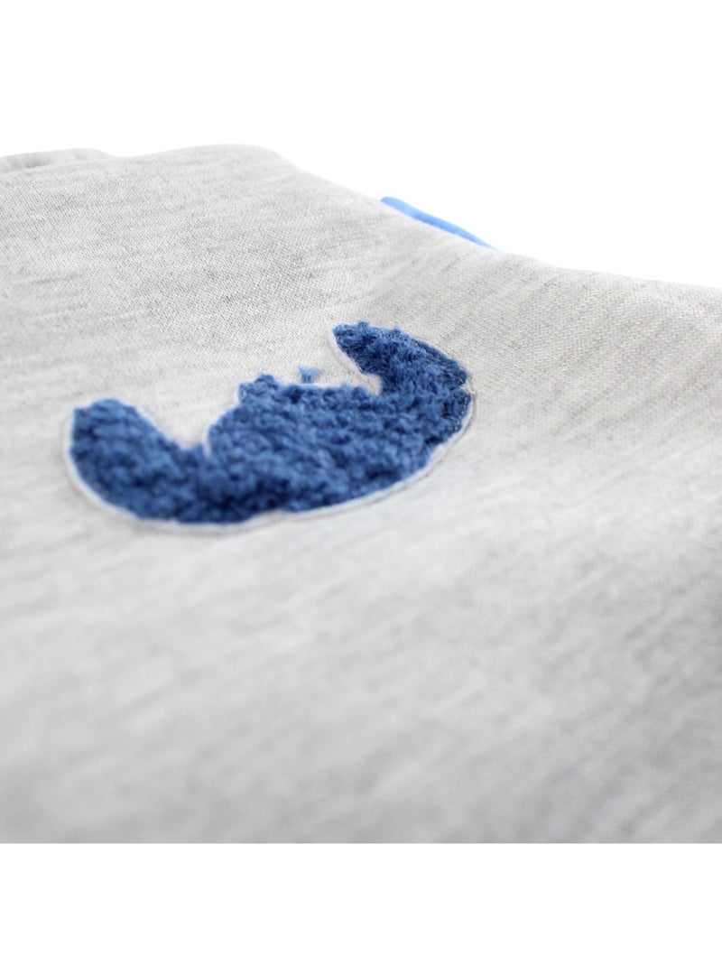 Disney - Veste sweat à capuche garçon à motif Gris - Kiabi