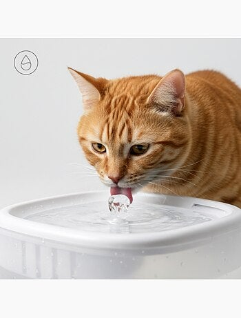Distributeur Croquettes Chat Automatique 2en1 PELUVIO Feast - Distributeur d'eau - Wi-Fi - 10/jour