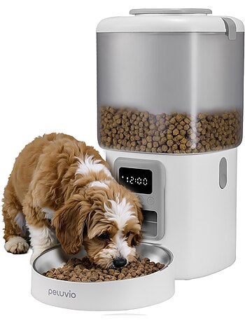 Distributeur de croquettes Automatique Chien PELUVIO Crispy - 4,5 L - 4 Repas/jour