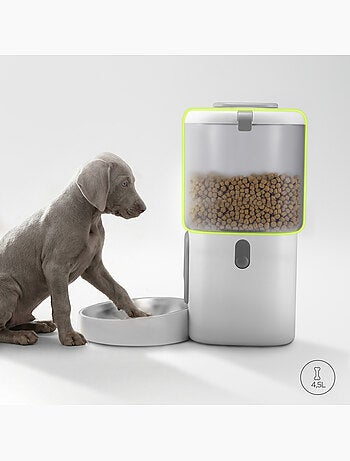 Distributeur de croquettes Automatique Chien PELUVIO Crispy - 4,5 L - 4 Repas/jour