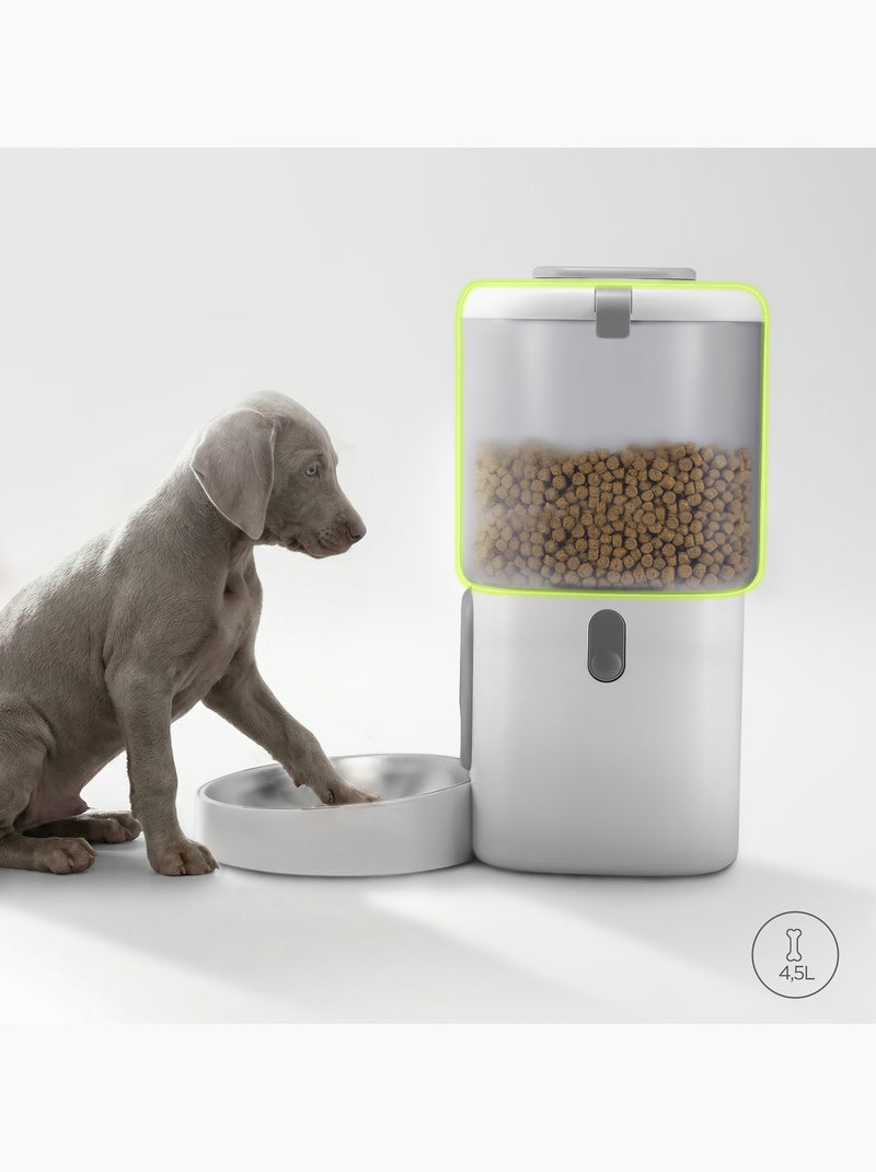 Distributeur de croquettes Automatique Chien PELUVIO Crispy - 4,5 L - 4 Repas/jour Blanc - Kiabi