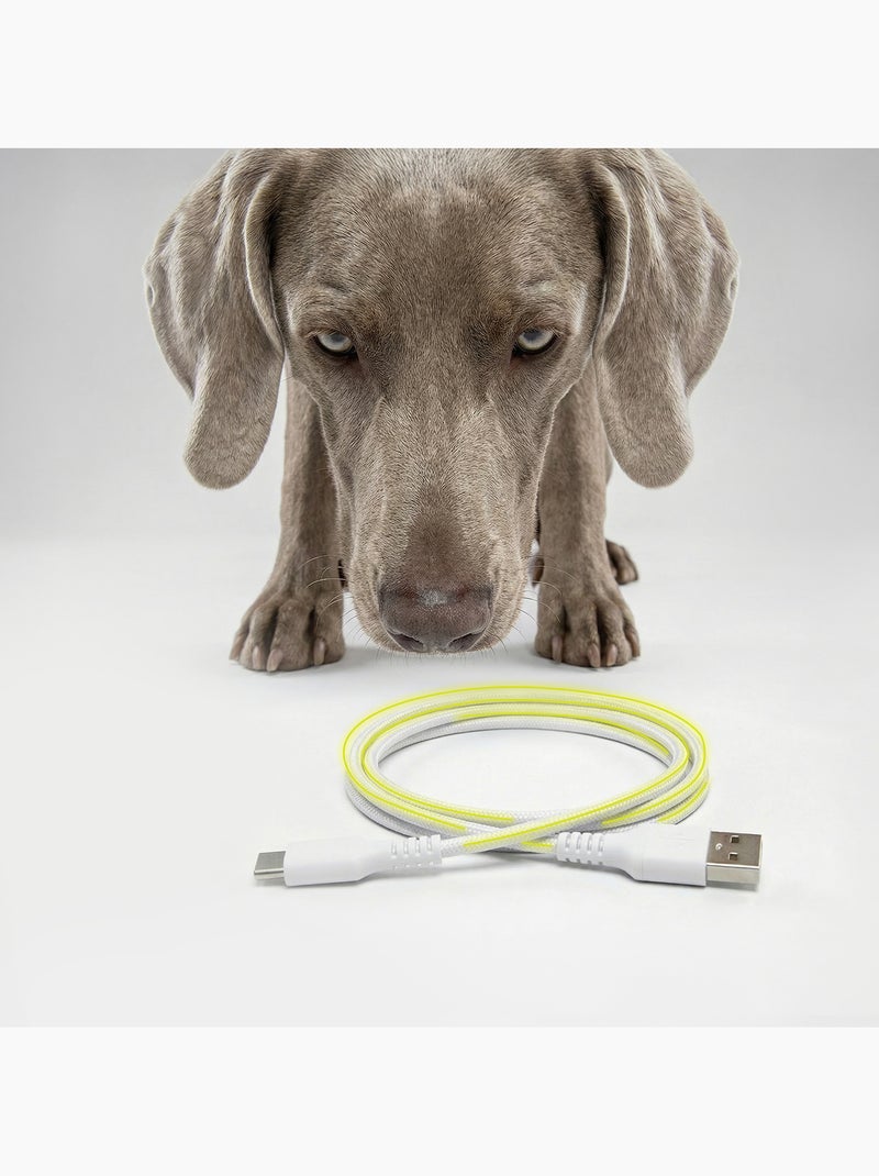 Distributeur de croquettes Automatique Chien PELUVIO Crispy - 4,5 L - 4 Repas/jour Blanc - Kiabi