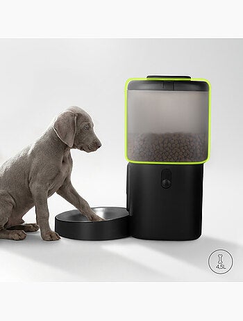 Distributeur de croquettes Automatique Chien PELUVIO Crispy - 4,5 L - 4 Repas/jour