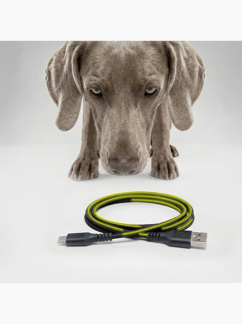 Distributeur de croquettes Automatique Chien PELUVIO Crispy - 4,5 L - 4 Repas/jour Noir - Kiabi