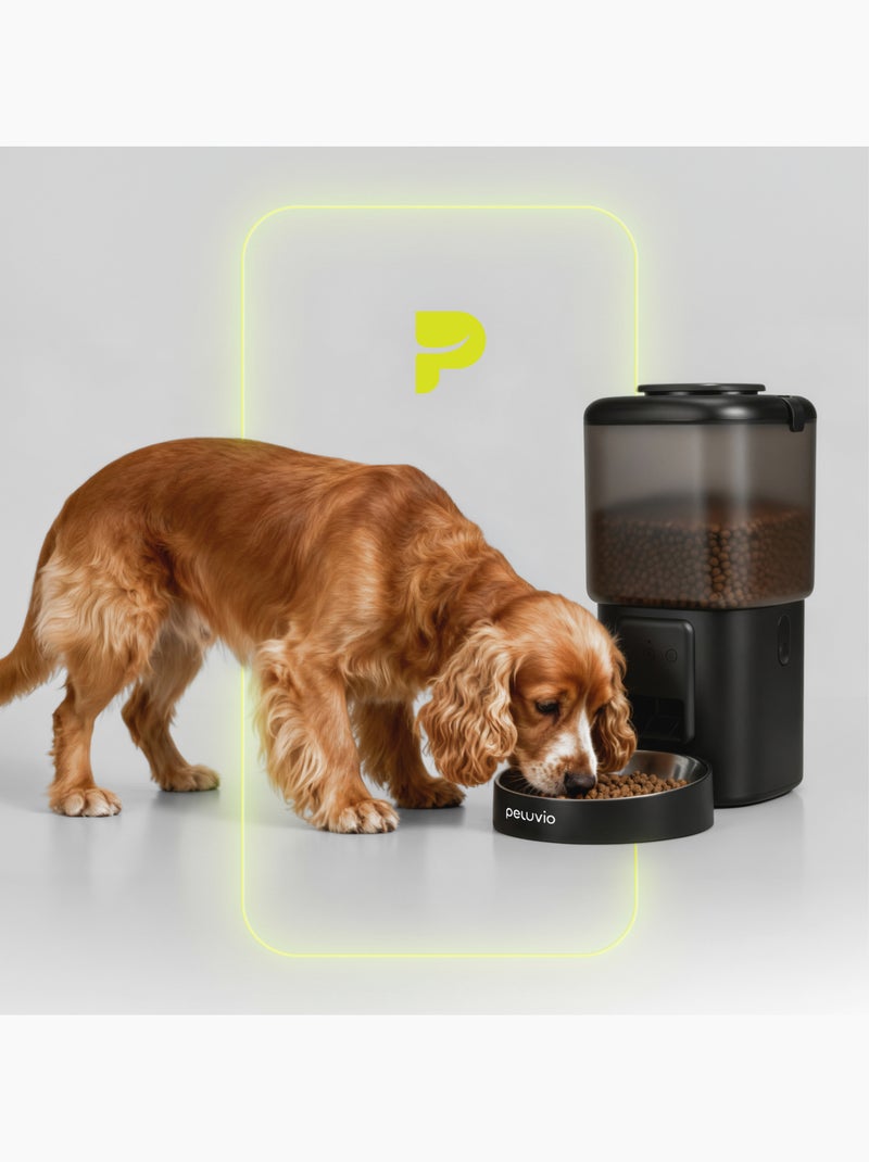 Distributeur de croquettes Automatique Chien PELUVIO Crispy - Wi-Fi - 4,5 L - 4 Repas/jour Noir - Kiabi