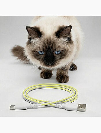 Distributeur de croquettes Automatique pour chat Chat PELUVIO Crispy - 4,5 L - 4 Repas/jour