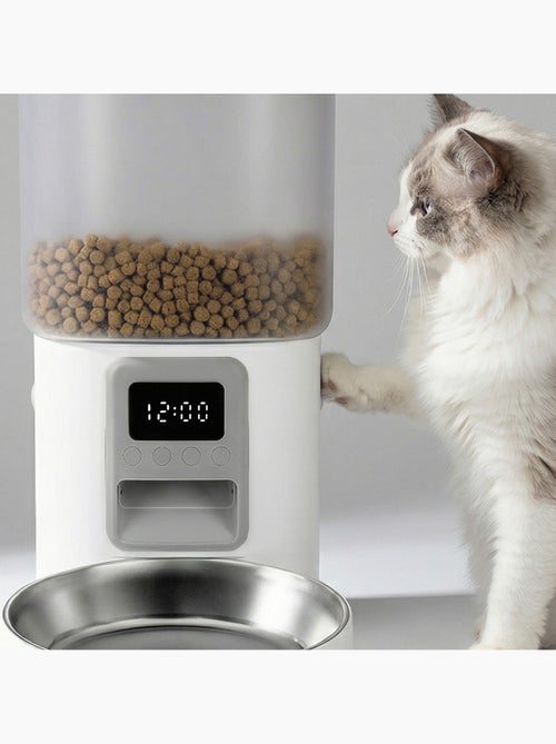 Distributeur de croquettes Automatique pour chat Chat PELUVIO Crispy - 4,5 L - 4 Repas/jour - Kiabi