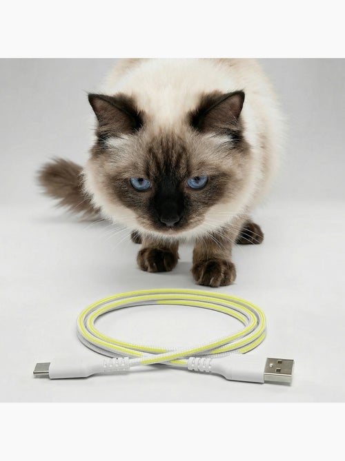 Distributeur de croquettes Automatique pour chat Chat PELUVIO Crispy - 4,5 L - 4 Repas/jour - Kiabi