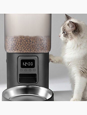 Distributeur de croquettes Automatique pour chat Chat PELUVIO Crispy - 4,5 L - 4 Repas/jour