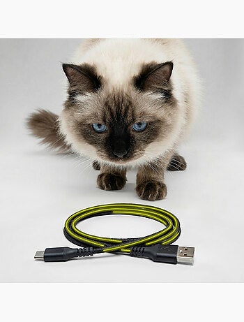 Distributeur de croquettes Automatique pour chat Chat PELUVIO Crispy - 4,5 L - 4 Repas/jour