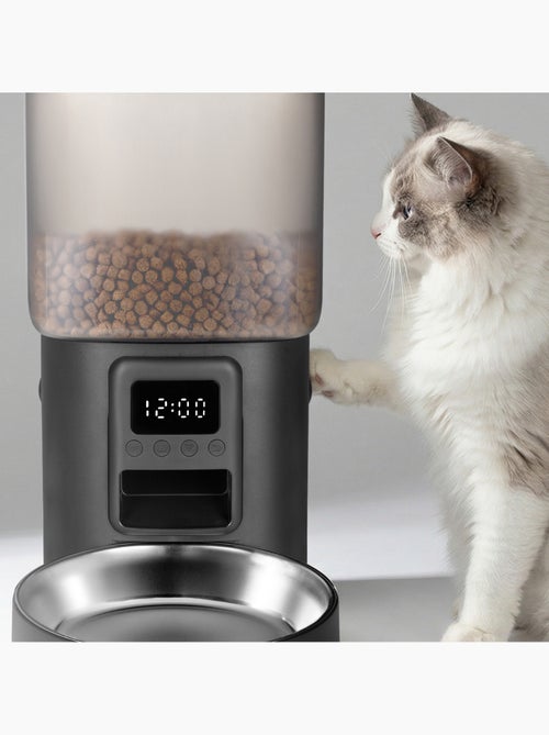 Distributeur de croquettes Automatique pour chat Chat PELUVIO Crispy - 4,5 L - 4 Repas/jour - Kiabi