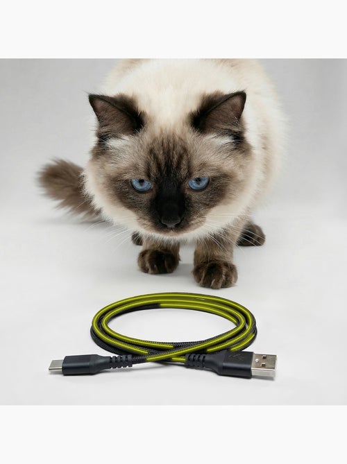 Distributeur de croquettes Automatique pour chat Chat PELUVIO Crispy - 4,5 L - 4 Repas/jour - Kiabi