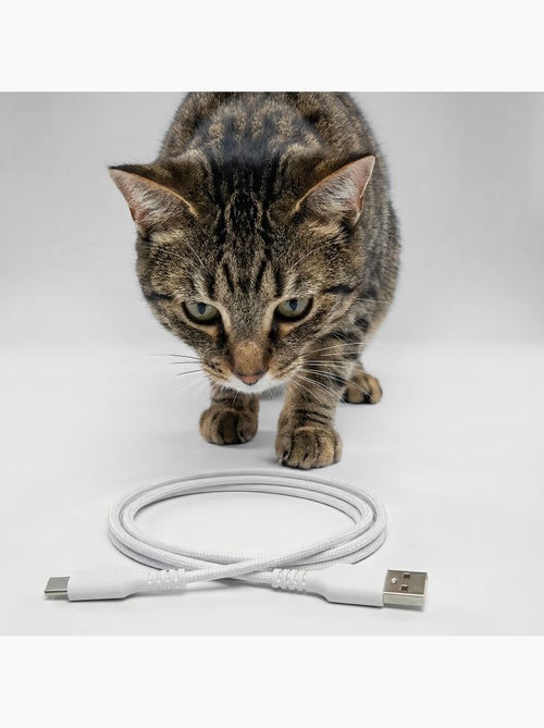 Distributeur de croquettes Automatique pour Chat PELUVIO Crispy - WiFi - 4,5 L - 4 Repas/jour - Kiabi Distributeur de croquettes Automatique pour Chat PELUVIO Crispy - WiFi - 4,5 L - 4 Repas/jour - Kiabi