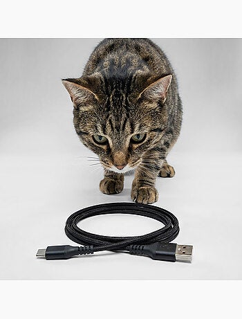 Distributeur de croquettes Automatique pour Chat PELUVIO Crispy - WiFi - 4,5 L - 4 Repas/jour