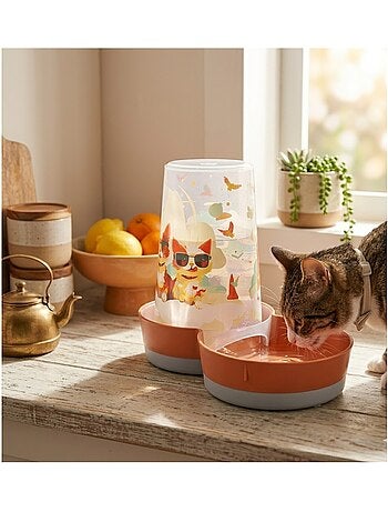 Distributeur d'eau ou de nourriture chat au soleil