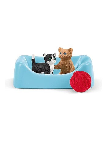 Divertissement pour chats mignons