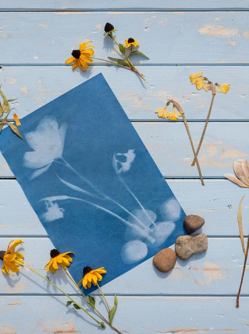 DIY Papier photo solaire A4 - Kiabi